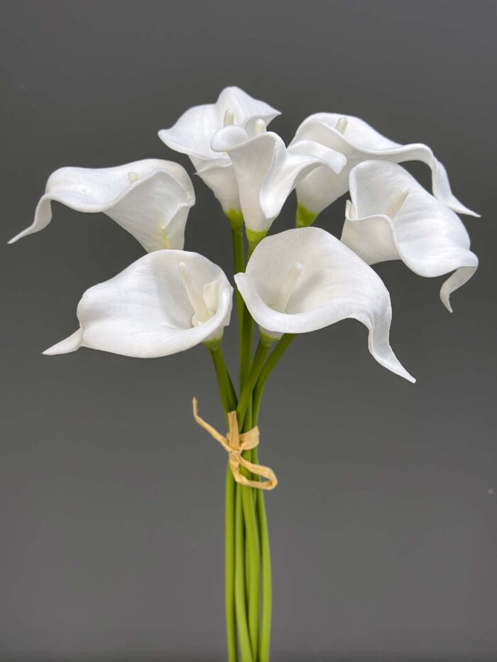 7 Pcs Calla Bundle 1145-12