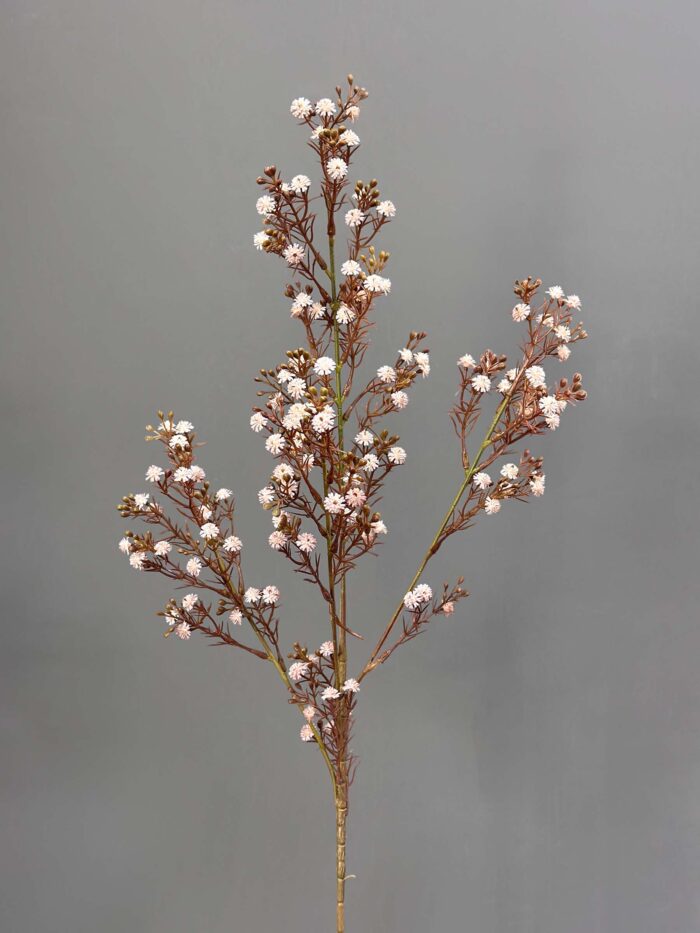 Babysbreath 1151-6