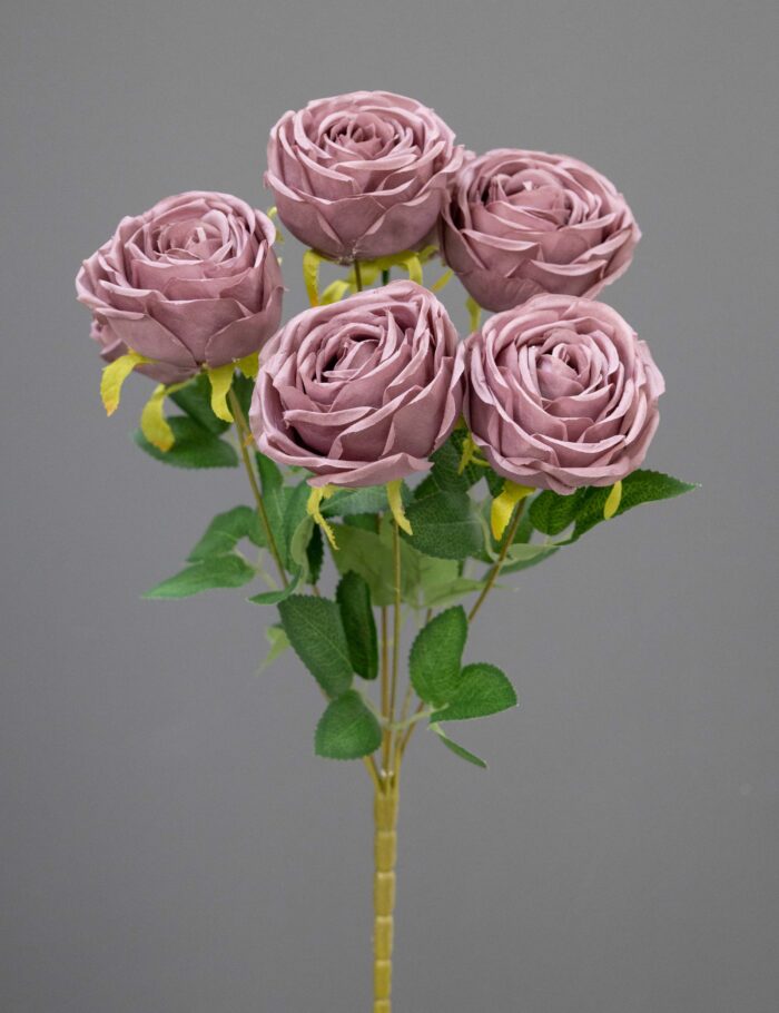 7F Rose bunche 1255-39