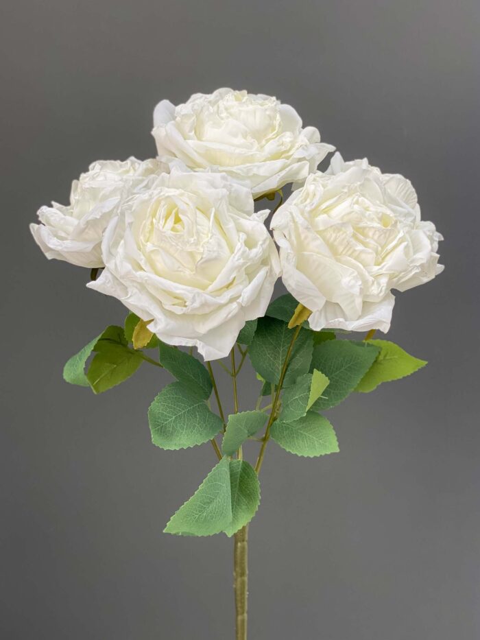 5 Heads Rose 1255-80