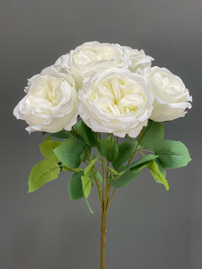 6 Heads Rose Bunche 1255-81