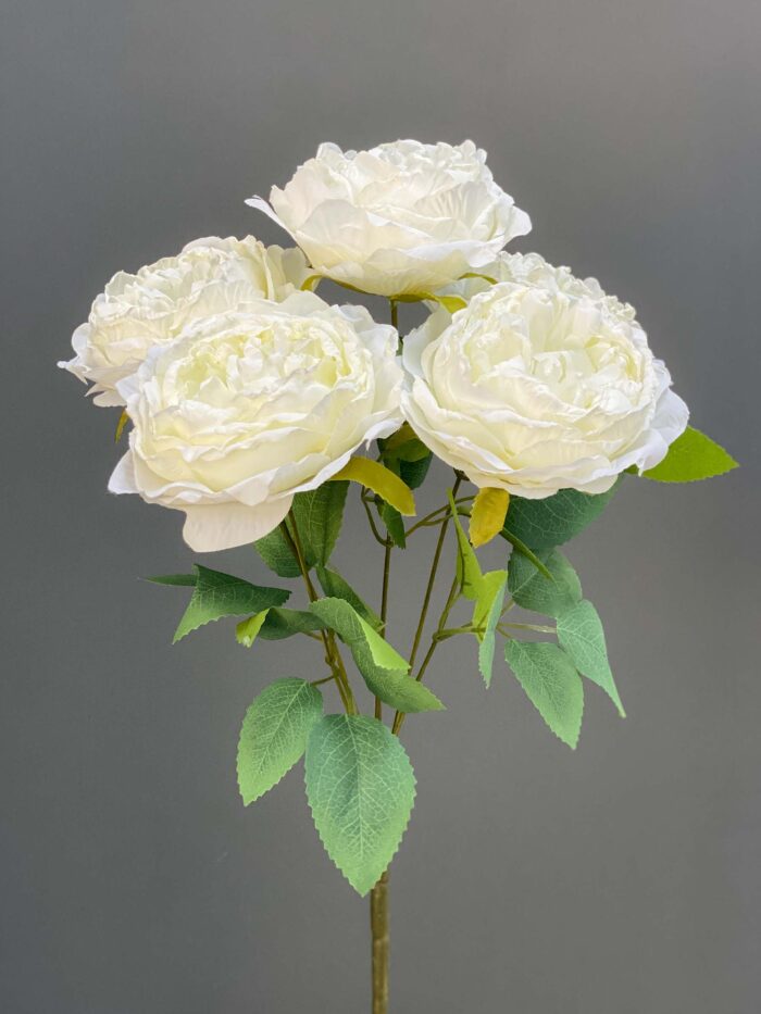 5 Heads Rose 1255-82