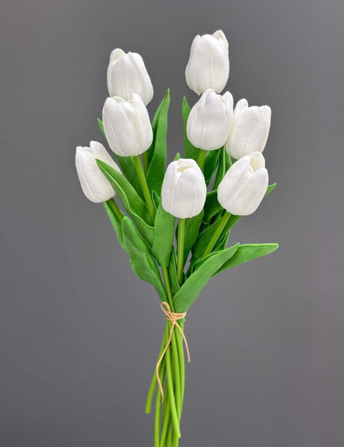 Tulip bundle (8 Pecs) 1437-12