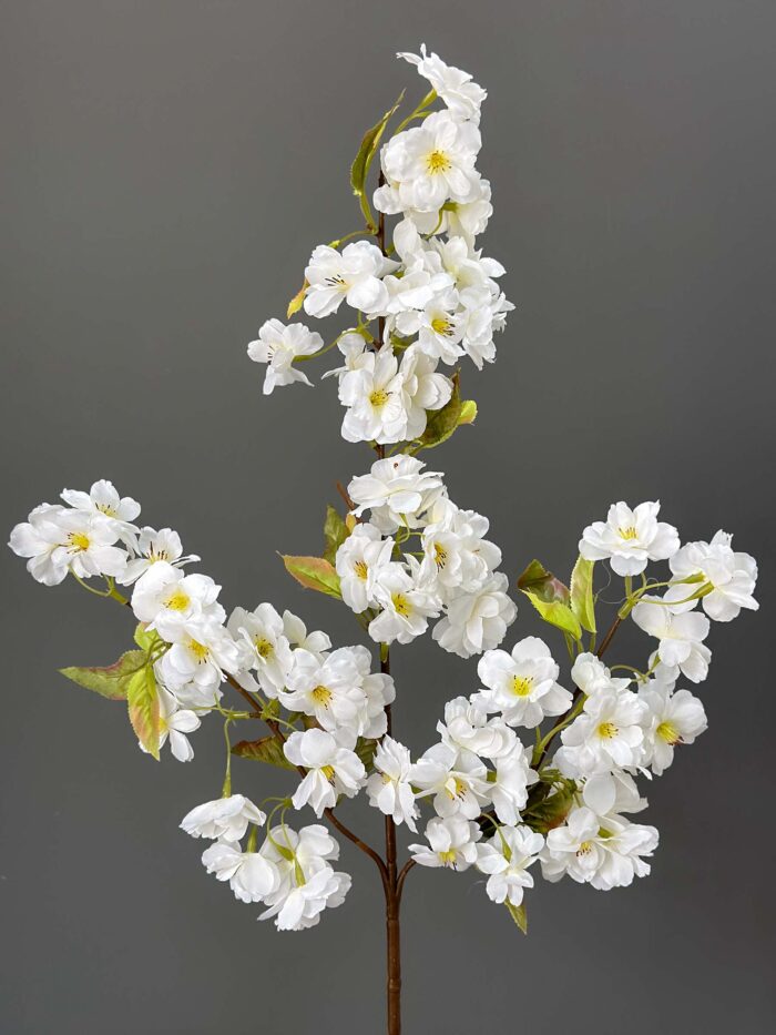 Cherry blossom branch 1617-13