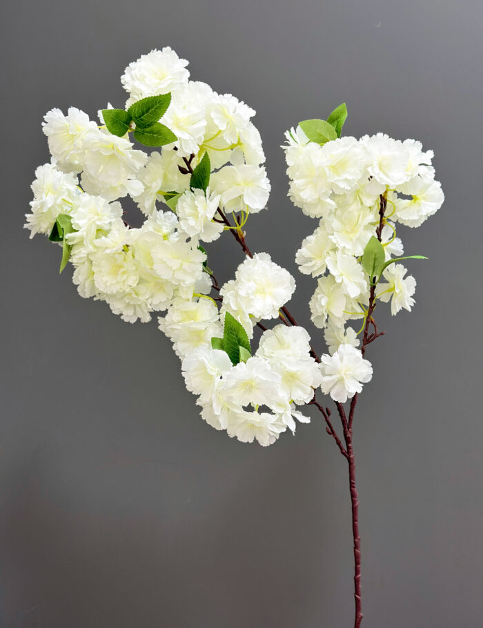 Cherry blossom 1617-14