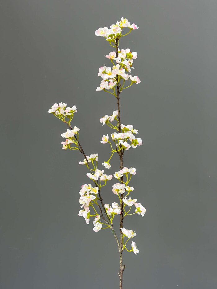 Beaty Cherry Blossom 1617-17