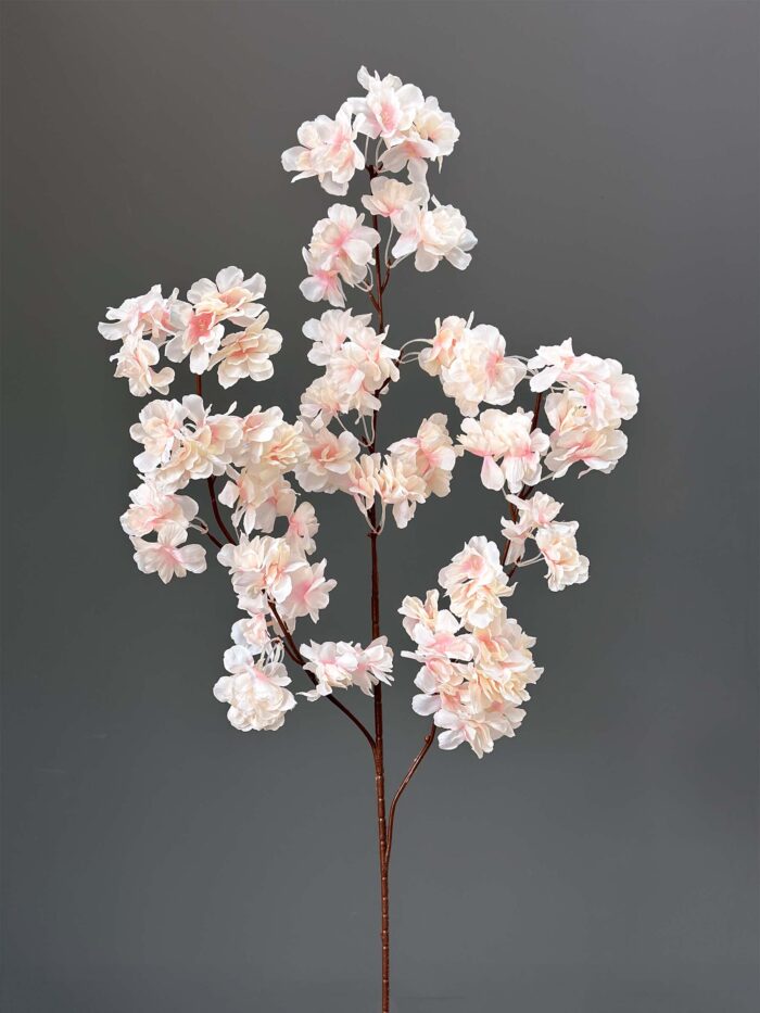Cherry Blossom 1617-20