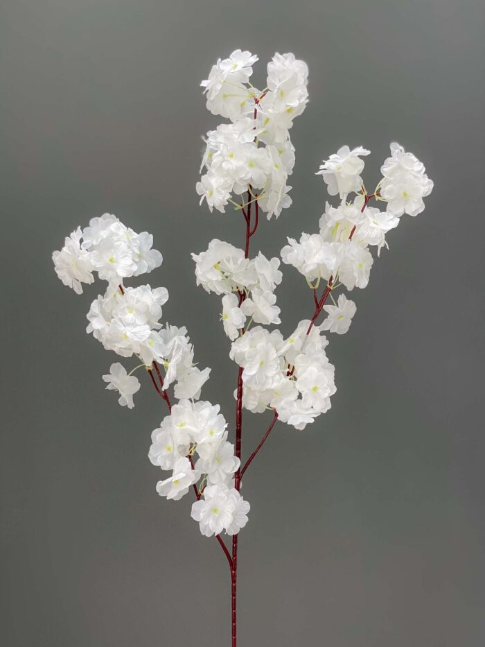 Cherry Blossom 1617-21