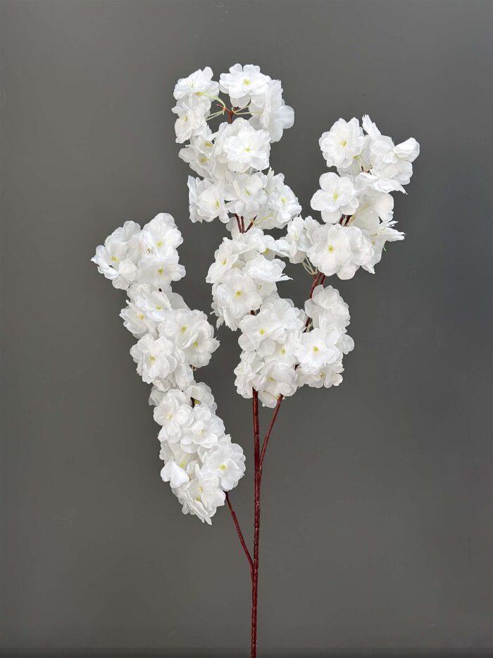 Cherry Blossom 1617-22