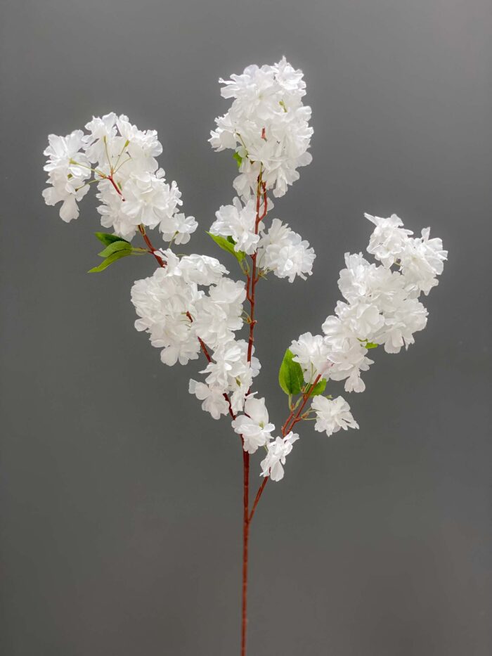 Cherry Blossom 1617-6