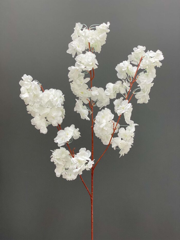 Cherry Blossom 1617-7