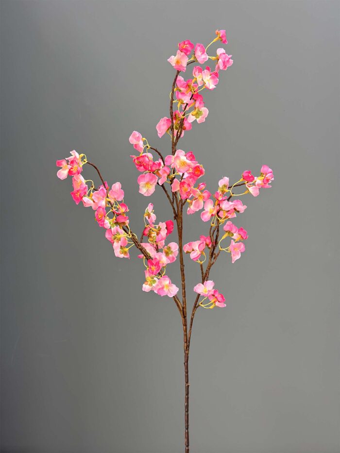 Cherry Blossom 1617-8