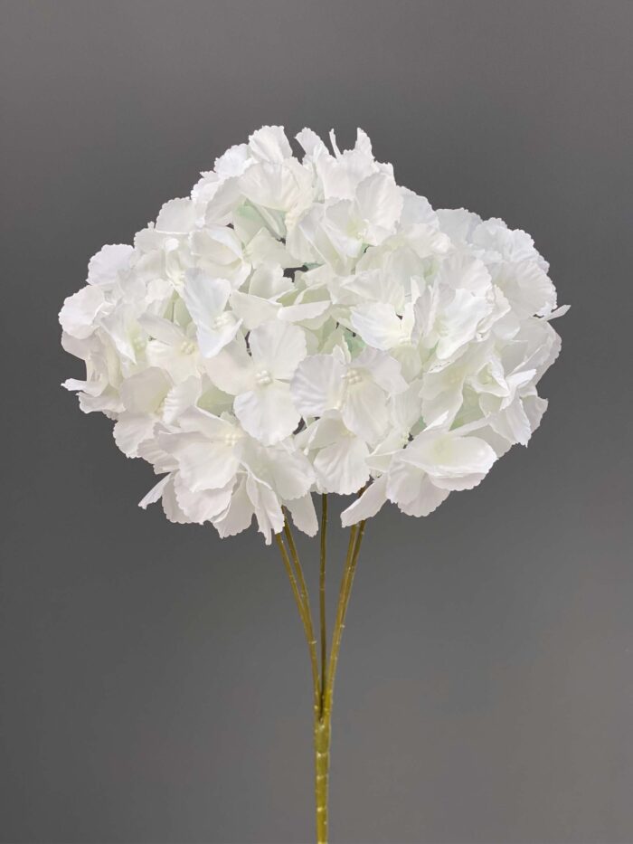 Hydrangeas bunches 1740-26