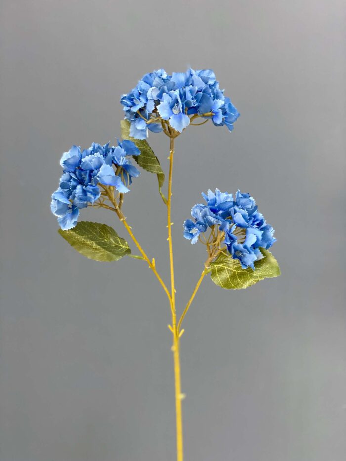 Hydrangeas Bunche 1740-28