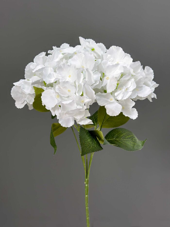 Hydrangea Bunche 1740-30