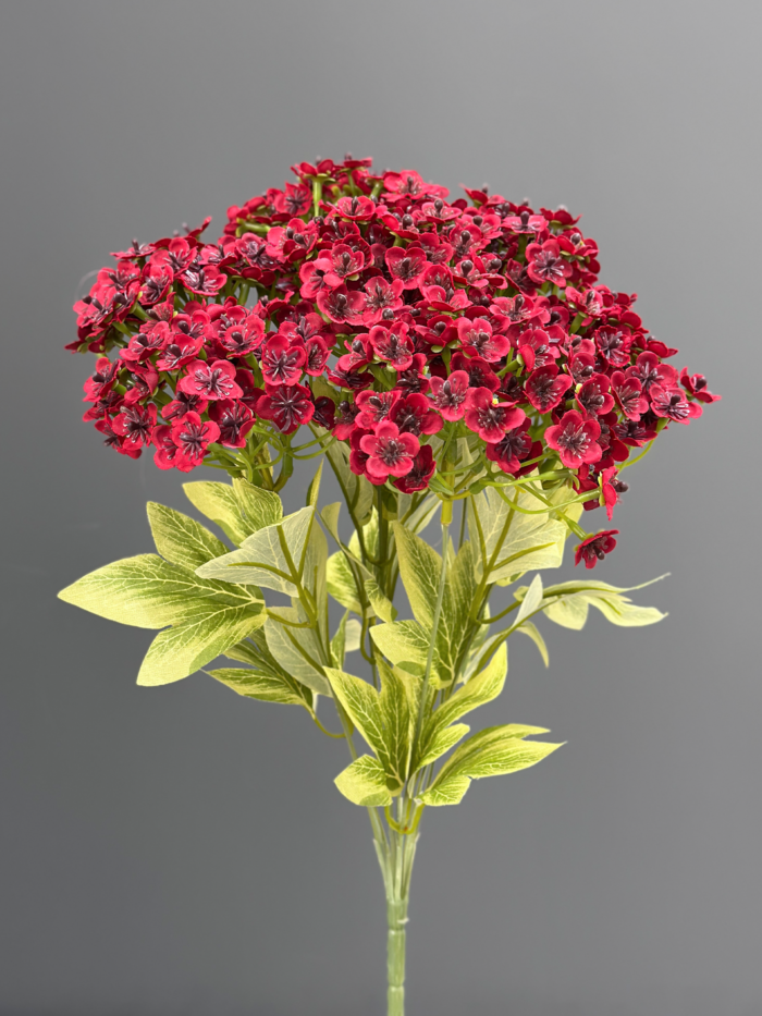 Hydrangea Bunche 1740-33