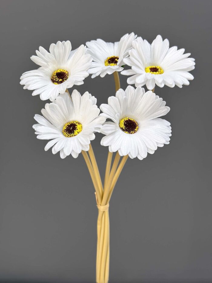 5 Pcs Gerbera 1794-1