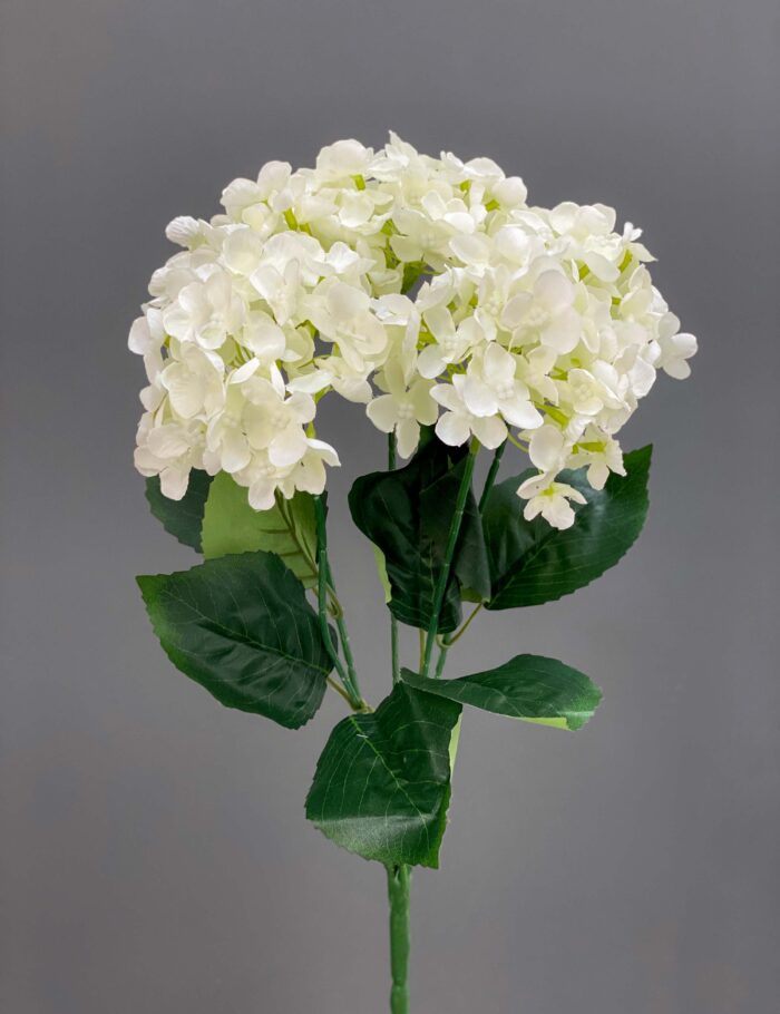 Hydrangeas – Bunches 1893-9