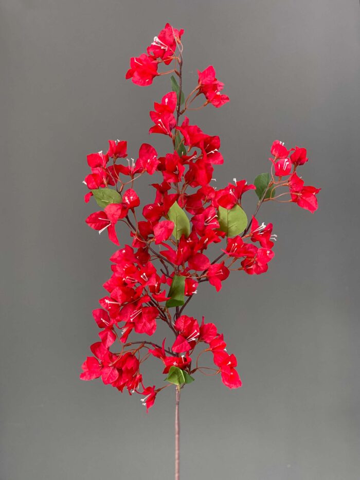 Bougainvilla 4086-15