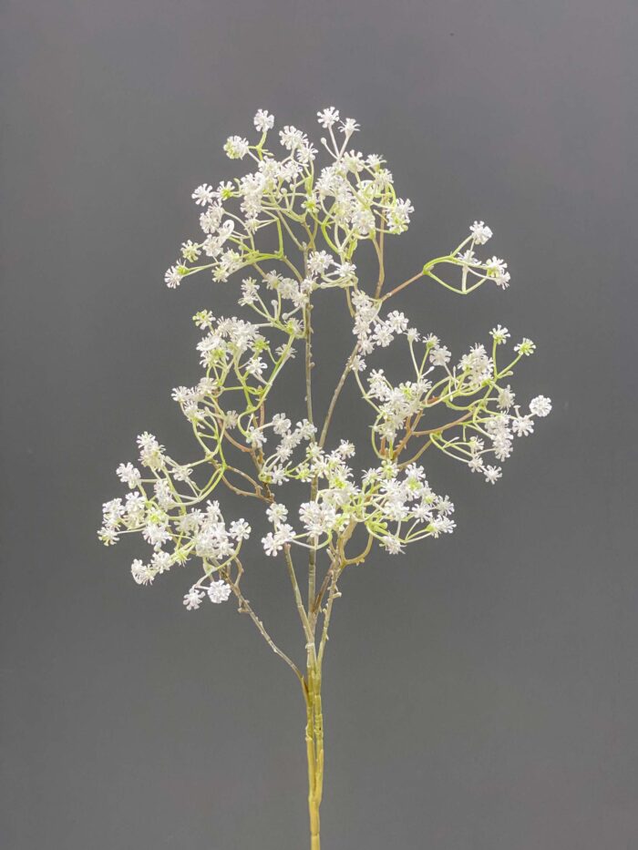 Babysbreath 4465-20