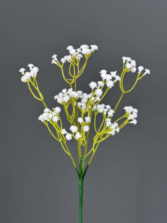 Babysbreath 4465-21