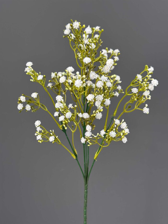 Babysbreath 4465-22