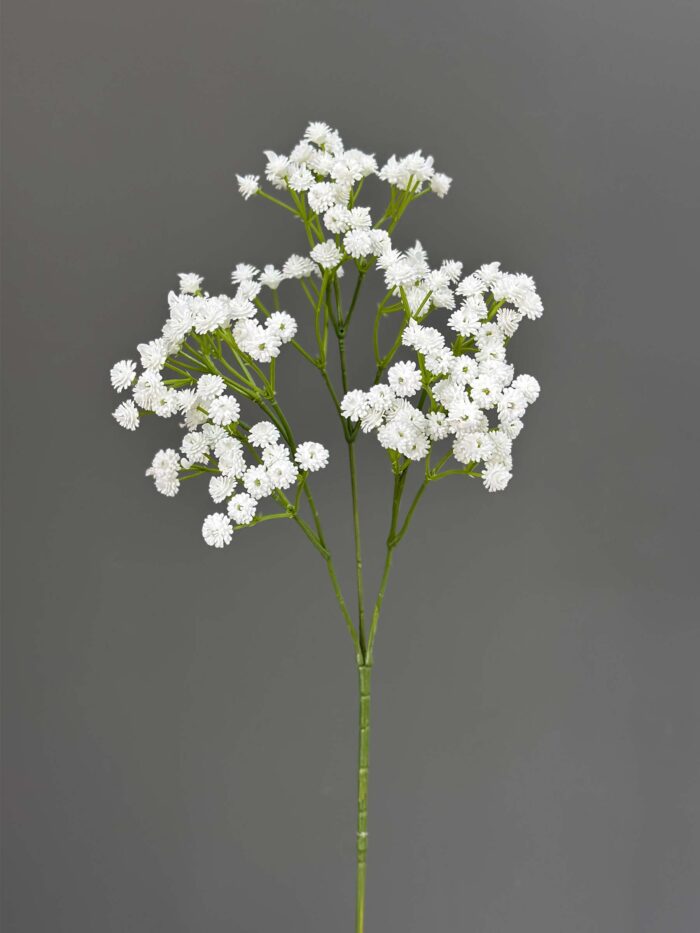 BabysBreath 60 Cm high 4465-4