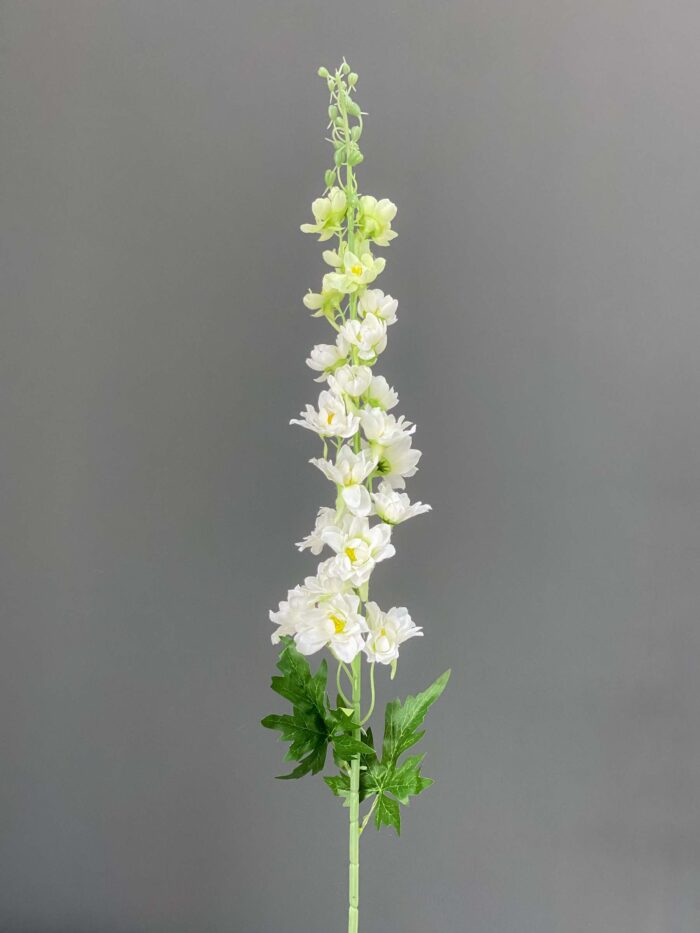 Delphinium single 5644-10