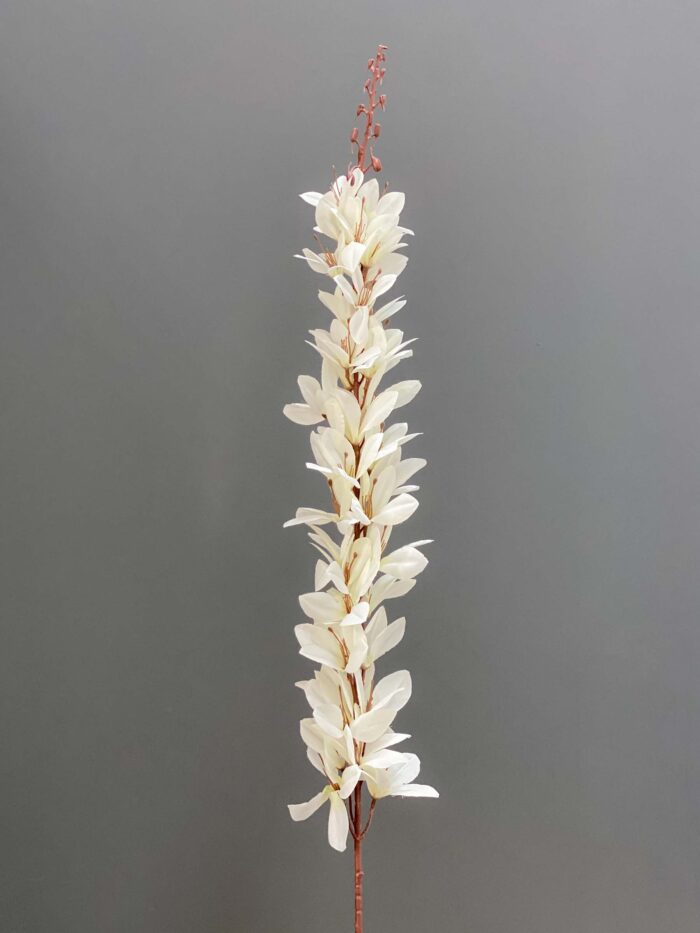 Delphinium single 5644-15