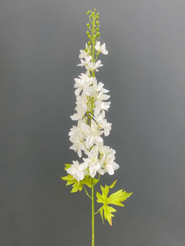 Delphinium single 5644-16