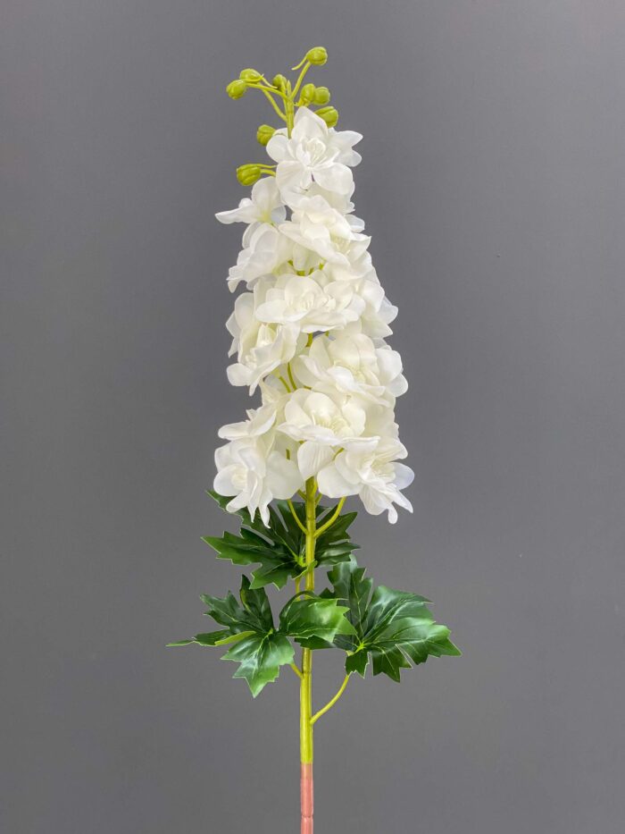 Delphinium single 5644-17
