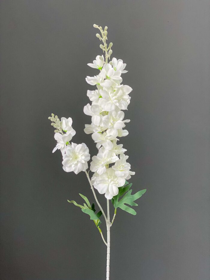 Delphinium single 5644-1
