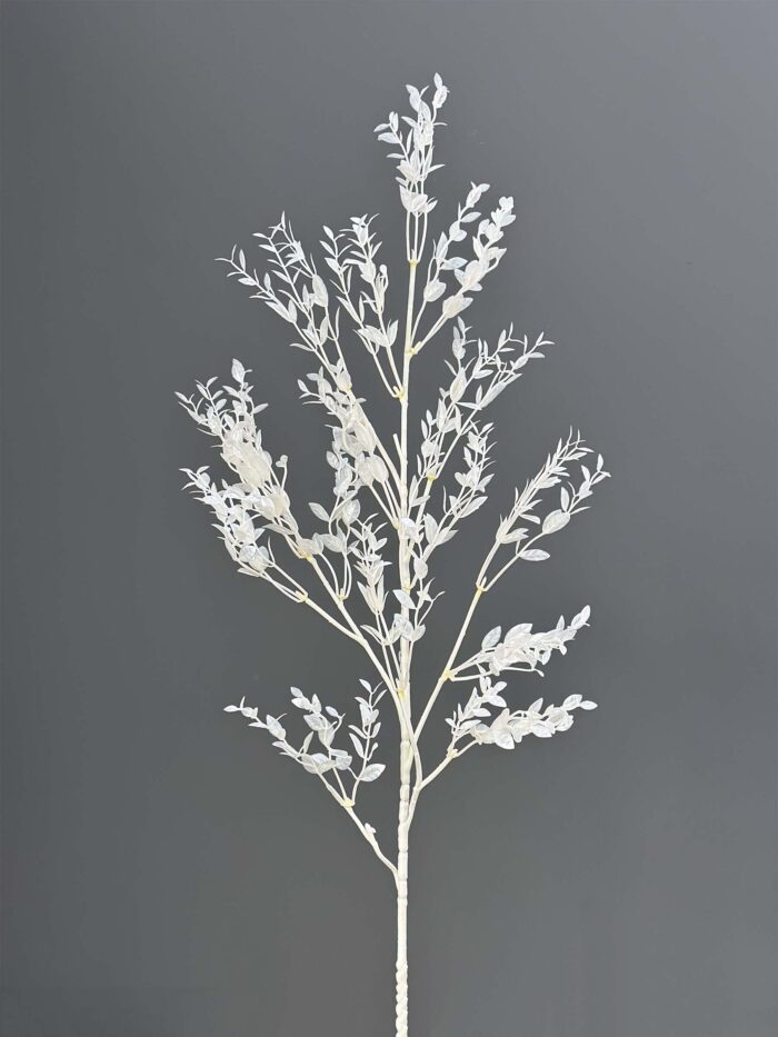 Accessorises 5700-12