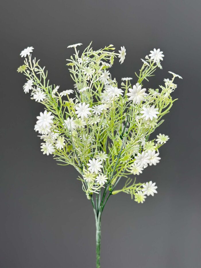 Babysbreath 5994-1