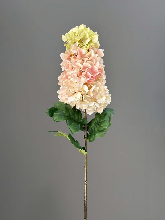 Single Head Hydrangeas 6506-2