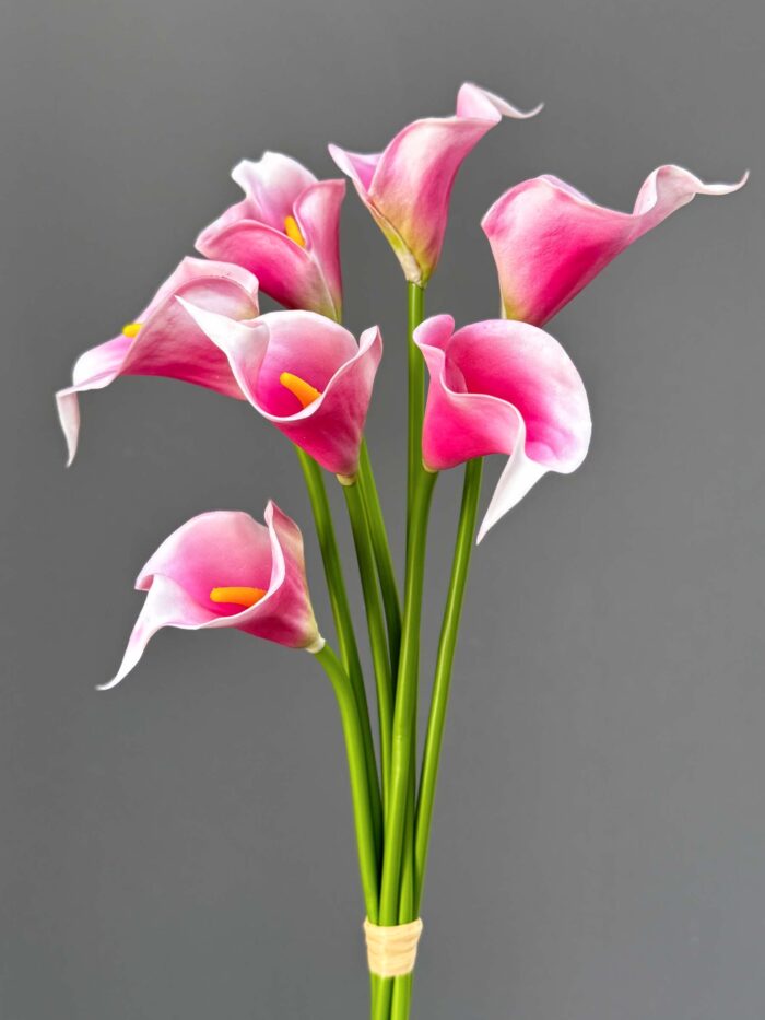 7PCS Calla bundles 1145-16