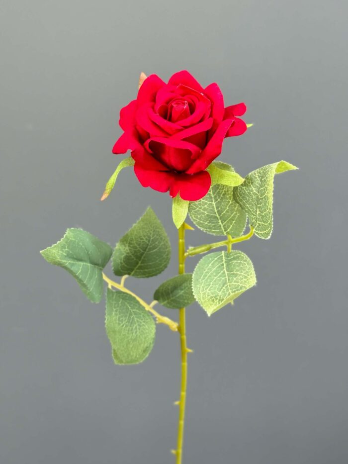 Single rose 1255-54