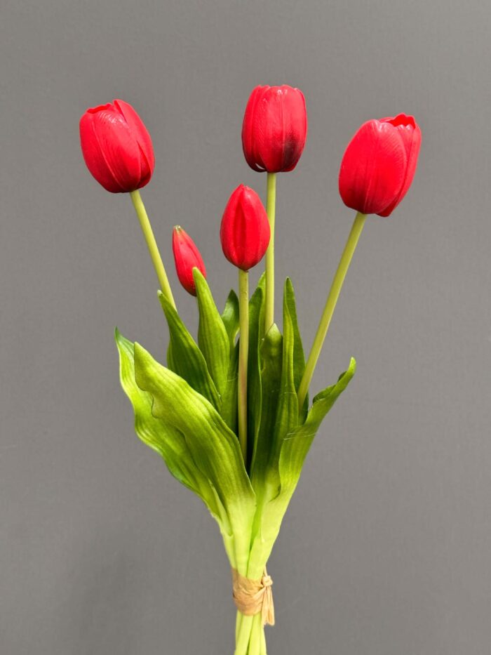 5pcs tulip bundle 1437-10