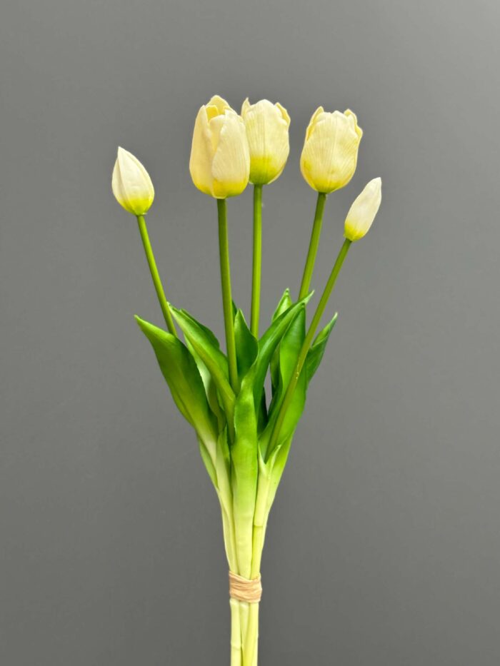5pcs tulip bundles 1437-14