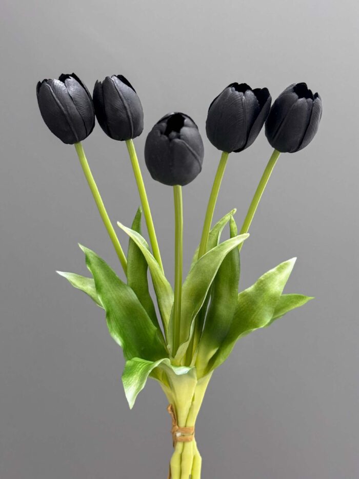 5 tulip bundle 1437-8