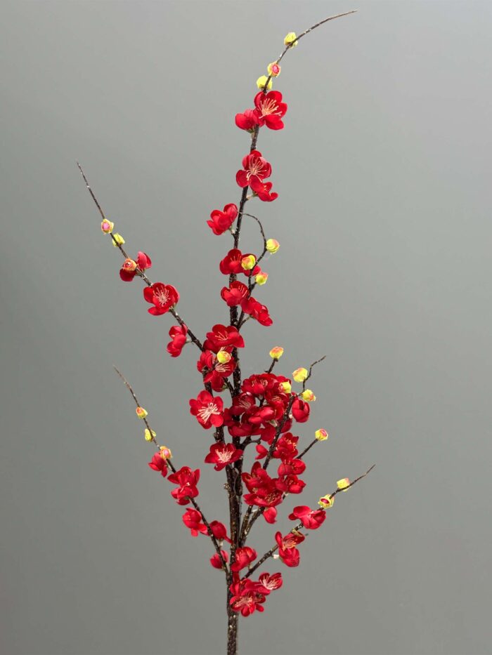 Cherry blossom single 1644-11