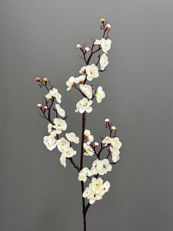 Cherry blossom 1644-15