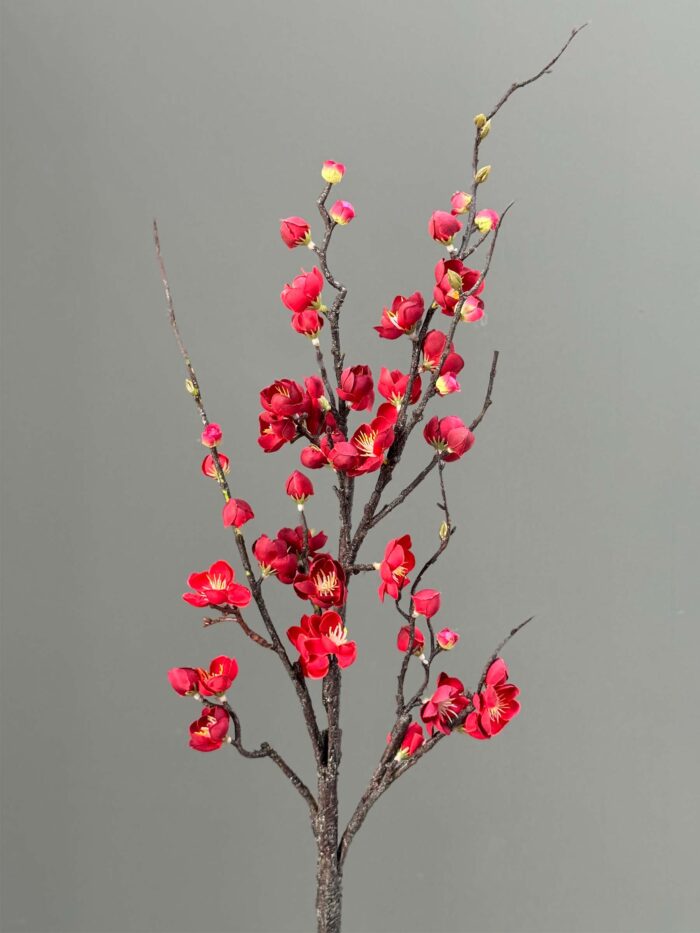 Cherry blossom 1644-16