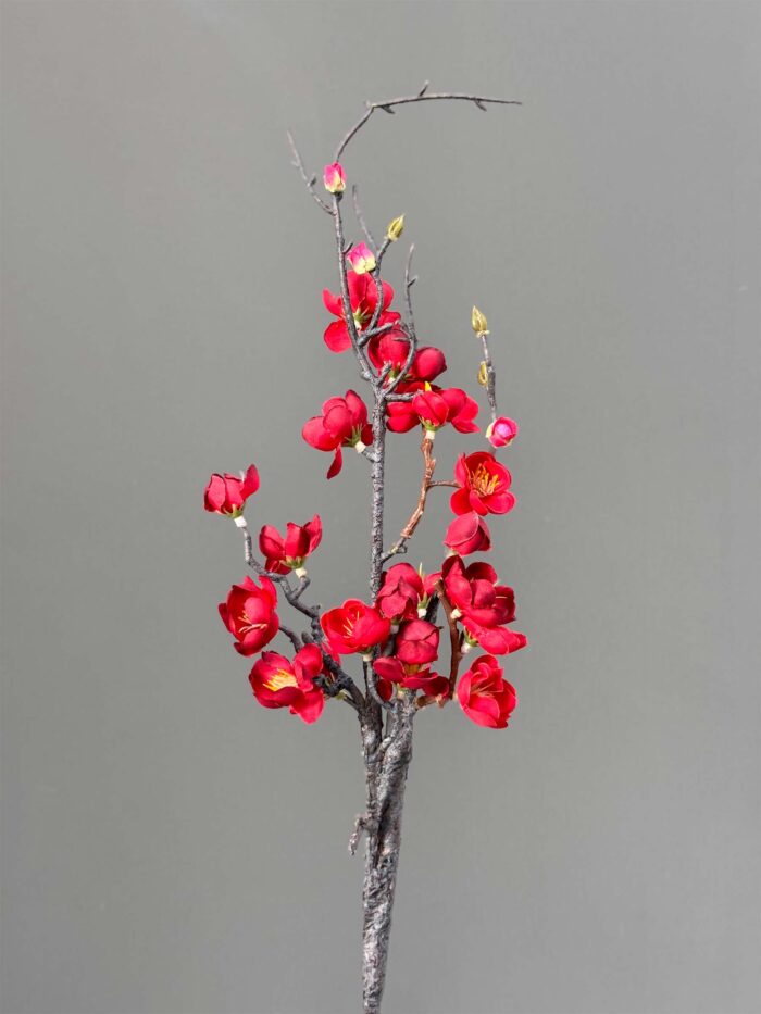 Cherry blossom 1644-17