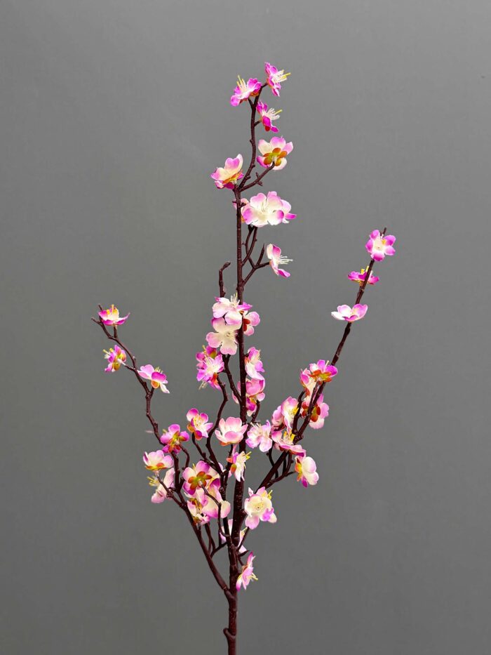 Cherry Blossom 1644-20