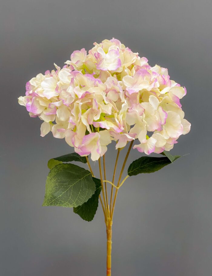 Hydrangeas bunch 1740-29