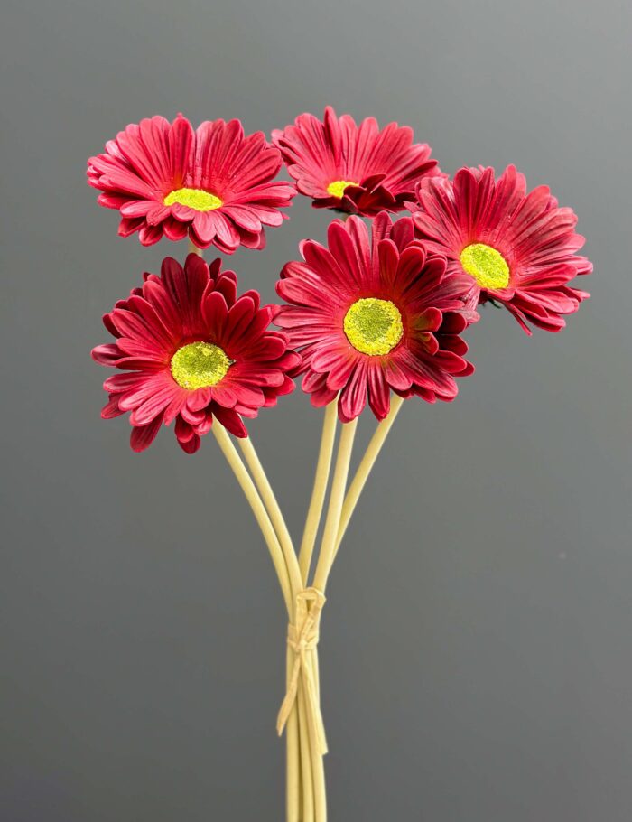 Rannuculus banquet 1793-1