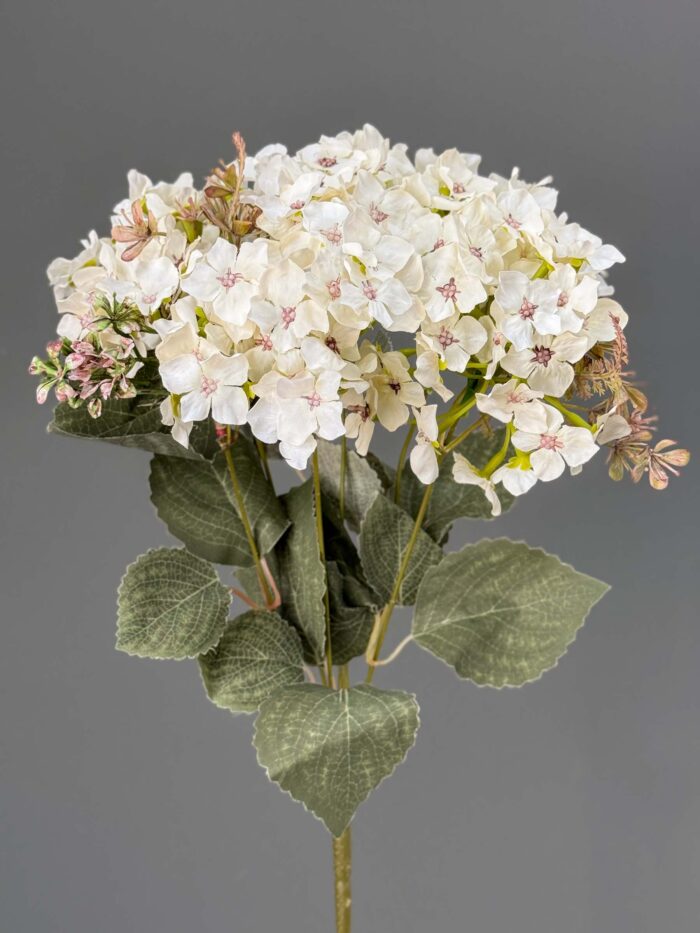 7 Branches Hydrangeas bunches 1893-10