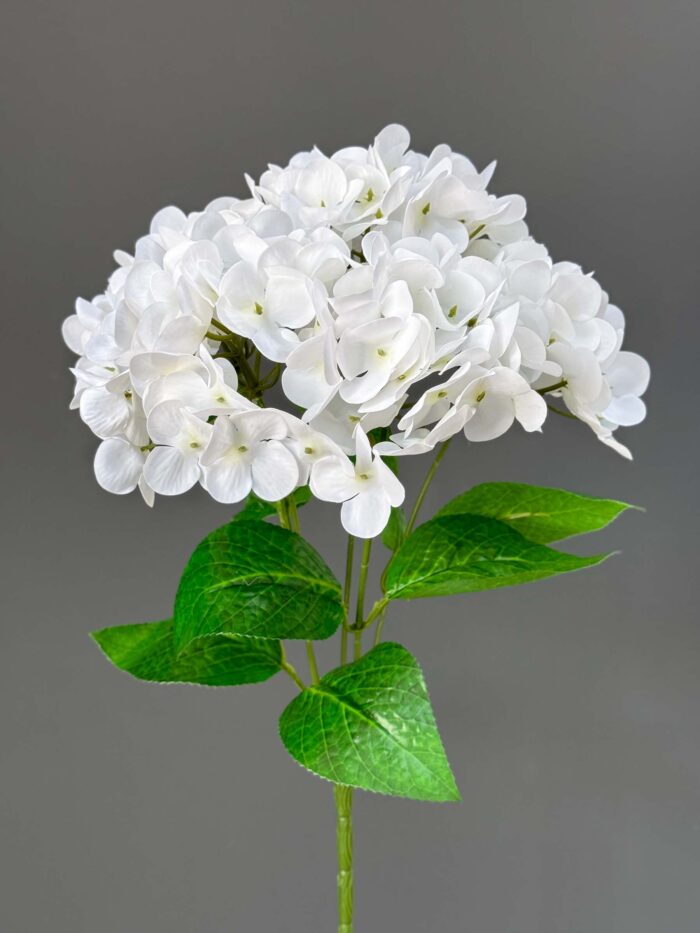 3D 5heads hydrangeas bunches 1893-4