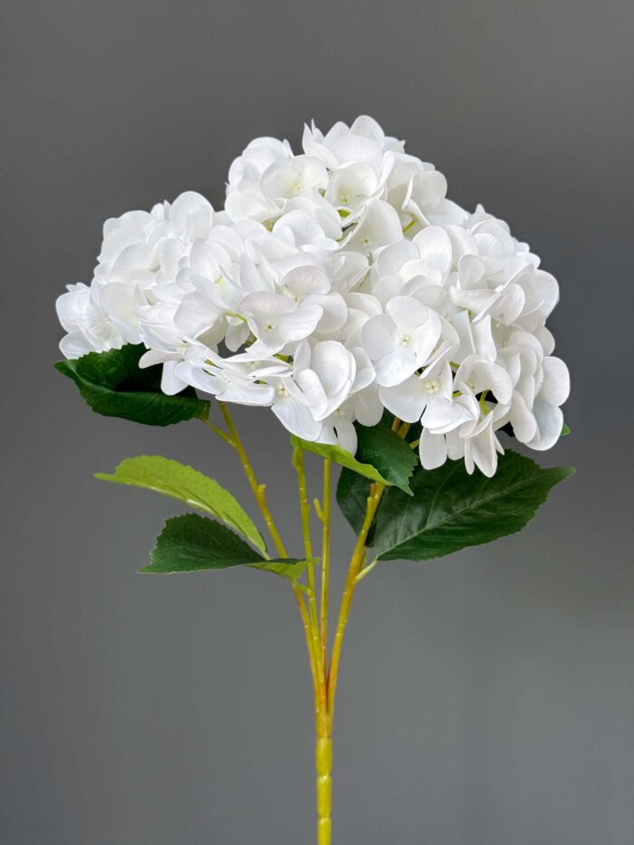 3D big hydrangeas bunches 1893-7
